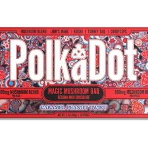 Polkadot Caramel Peanut Twist Chocolate