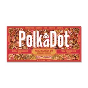 Polkadot Ooey Gooey Chocolate
